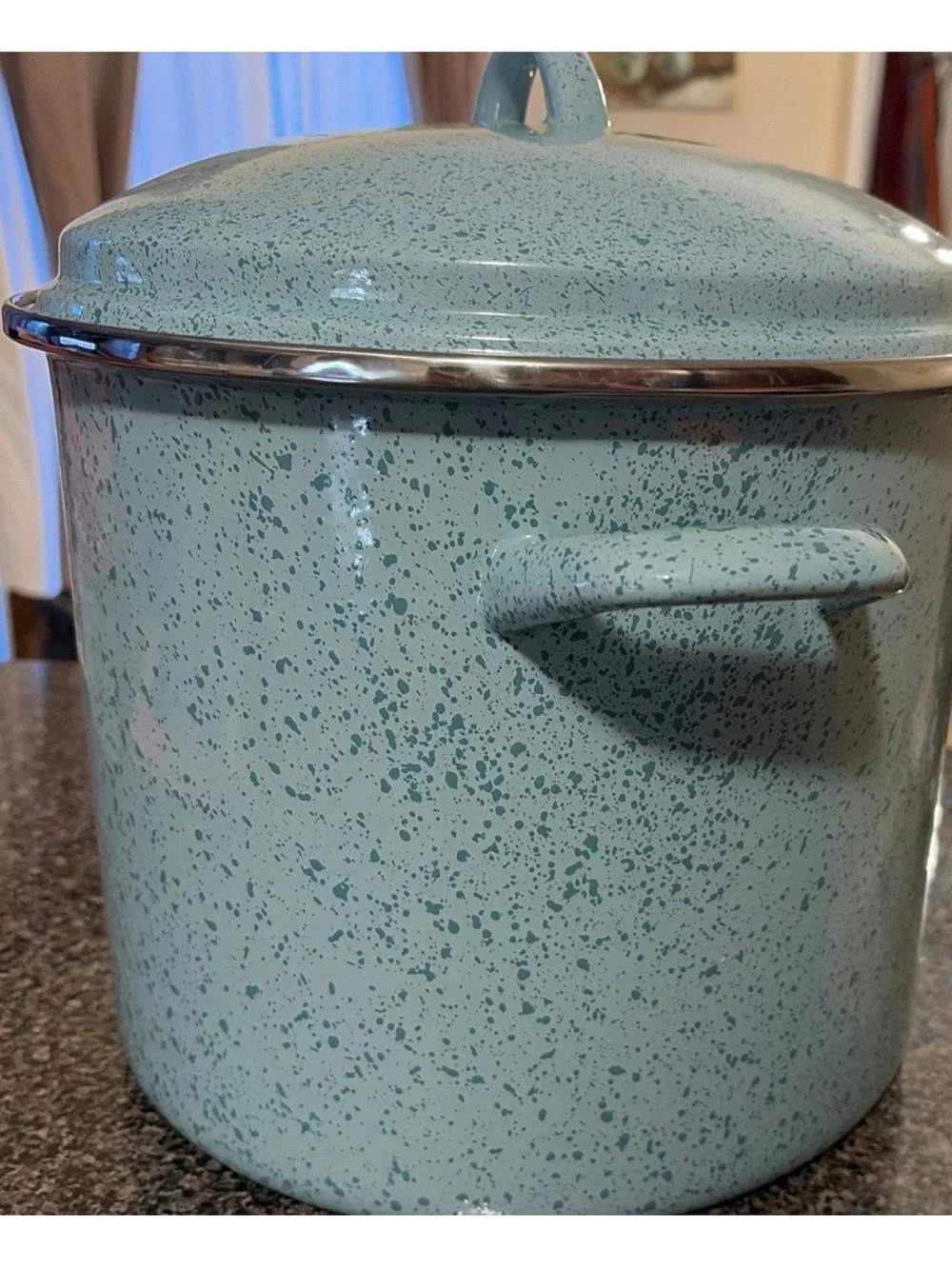 Mint Speckled 12 qt. Enamel Stockpot with Lid - Home Kitchen Cookware
